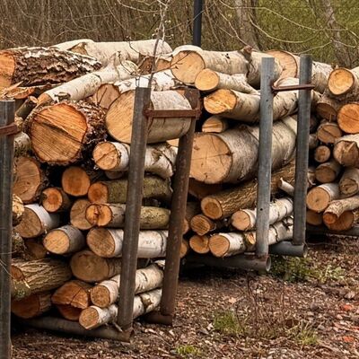 Holz